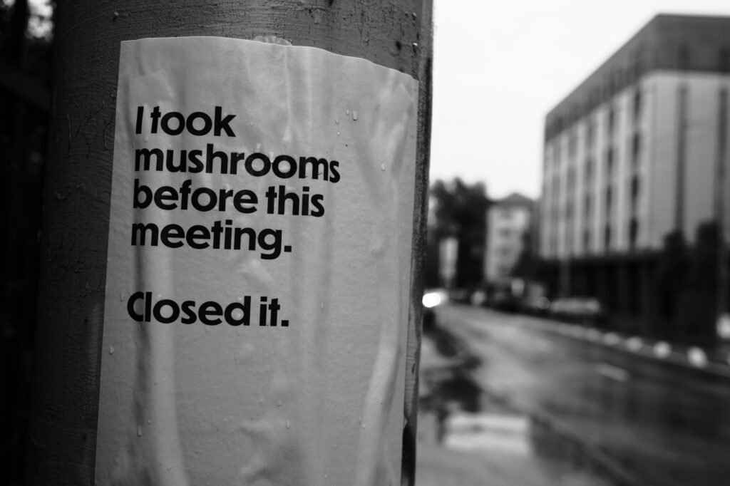 Meeting