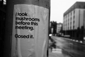 meeting