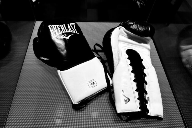 champ's gloves