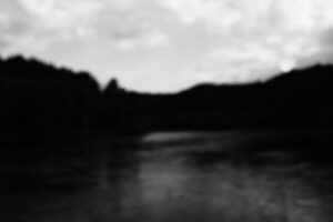 the landscape