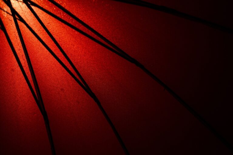 the red umbrella