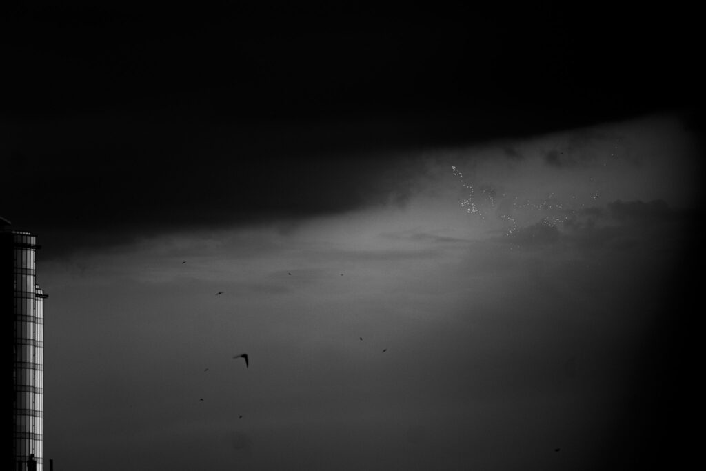 Spotlight