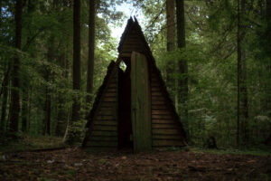 in the woods