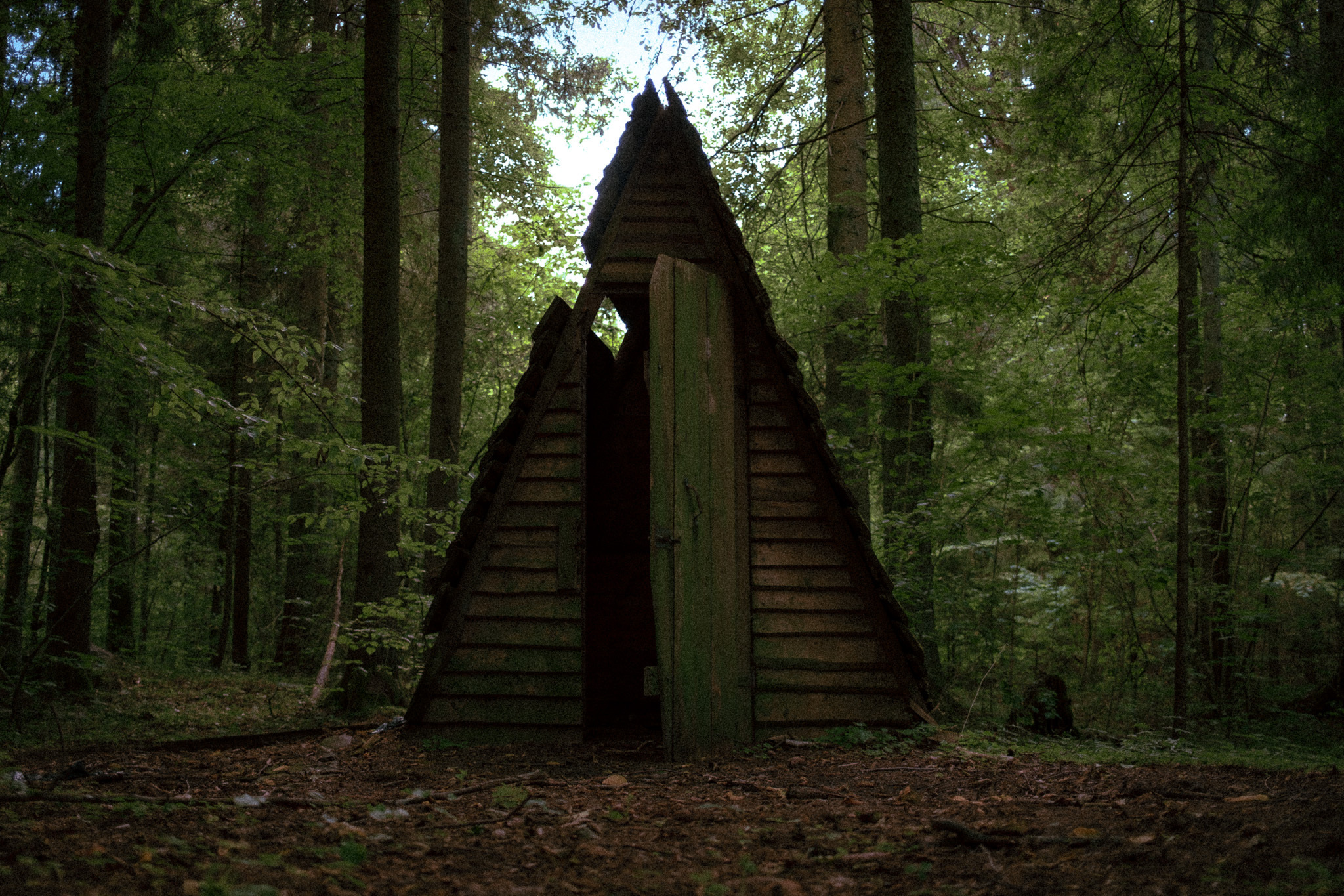 in the woods