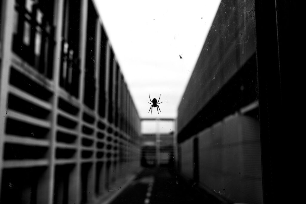 Spider Sense