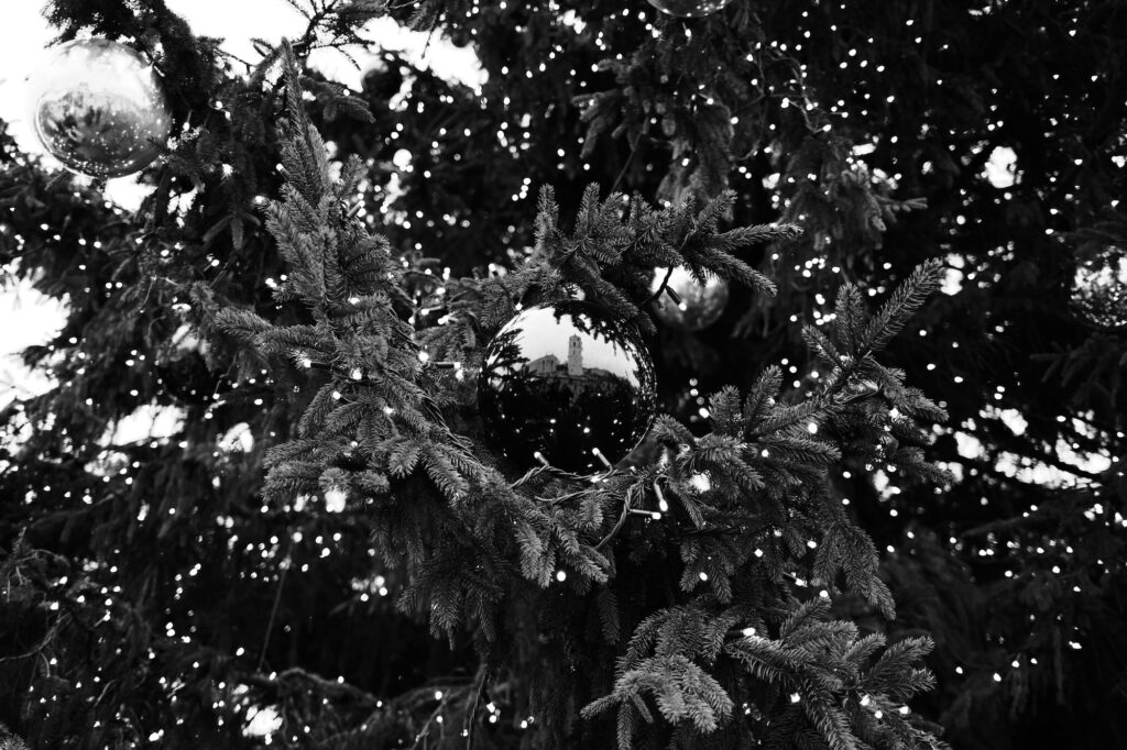 The Tree