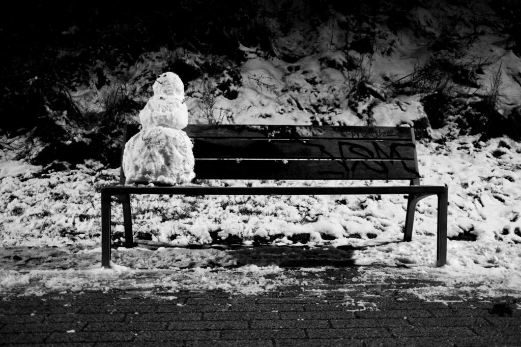 The Snowperson