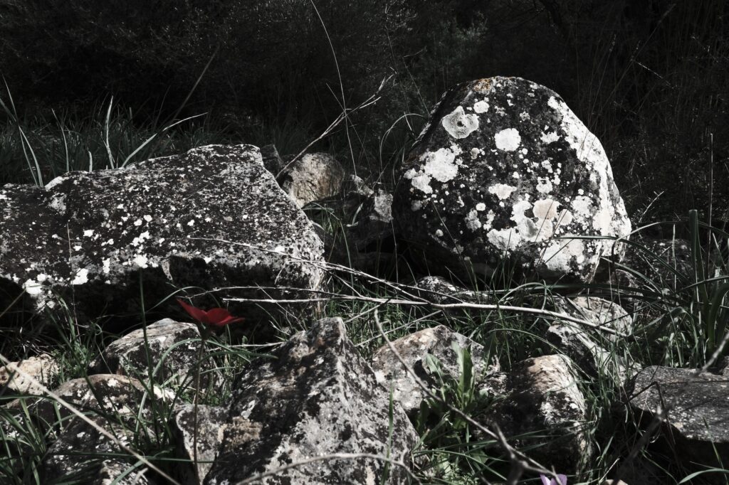 Rocks